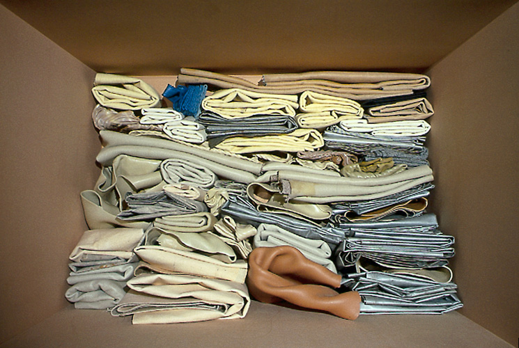 Fossil Sensation II, 2001