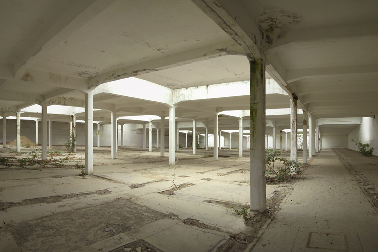 Slagtehal, 2008