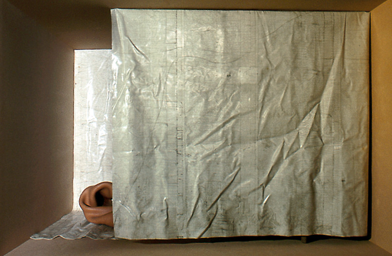 Fossil Sensation III, 2001